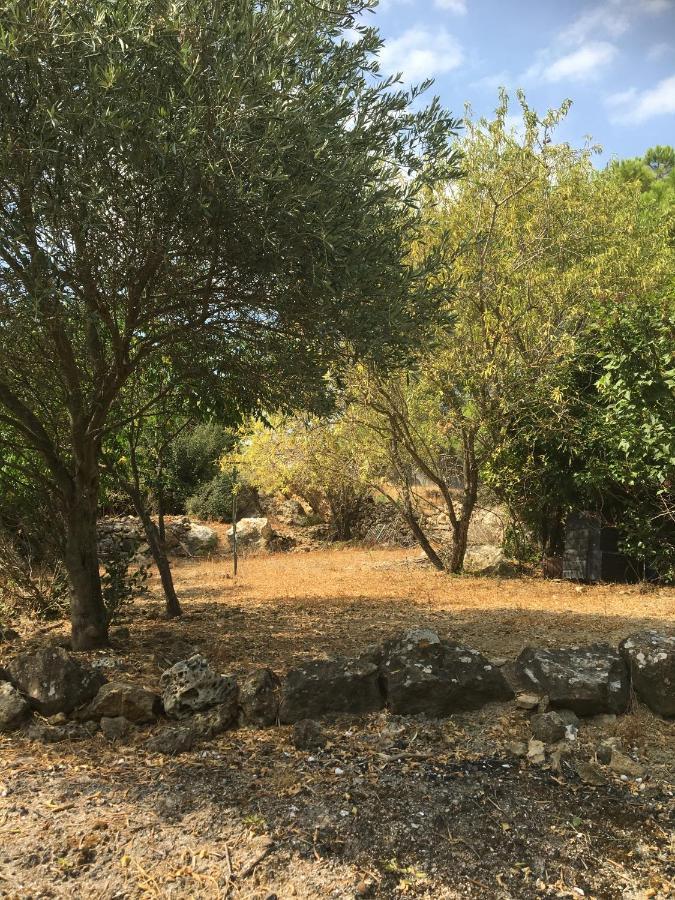 לינה וארוחת בוקר Fraissé-des-Corbières Chez Tatie Menie מראה חיצוני תמונה